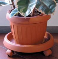 Подставка под кашпо на колёсиках