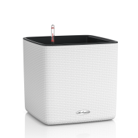 CUBE LS Color / КЬЮБ ЛС Колор