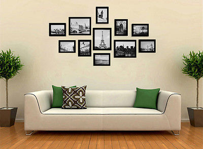 Комнатные хвойные растения