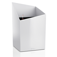 CURSIVO / КУРСИВО