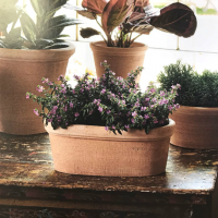 Горшок керамический OVALE ETRUSCO 