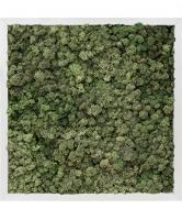 Картина из северного мха квадратная (сталь)