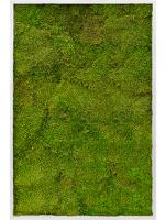 Картина из плоского мха прямоугольная (сталь)