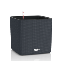 CUBE LS Color / КЬЮБ ЛС Колор