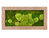 Картина из мха прямоугольная 50/50 (древесная стружка)