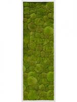 Картина из шарового мха прямоугольная (сталь)