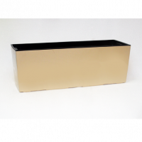 Цветник BEGONIA / БЕГОНИЯ