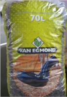 Кора сосны итальянской Pinus pinea