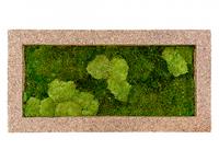 Картина из мха прямоугольная 30/70 (древесная стружка)