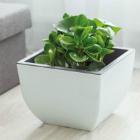 Кашпо Muna / Муна квадратное с вкладкой 