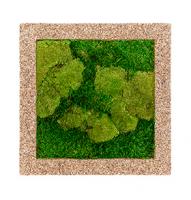 Картина из мха квадратная 50/50 (древесная стружка)
