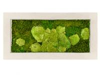 Картина из мха прямоугольная 50/50 (полистоун)