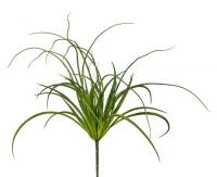 Взморник куст