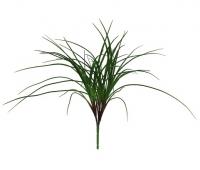 Берграсс куст