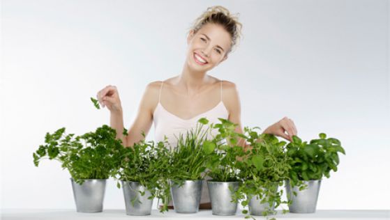 Как пересадить растение в другой горшок