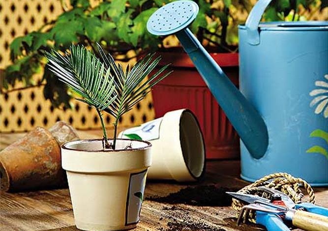 Как ухаживать за растениями при включении отопления