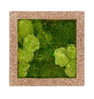 Картина из мха квадратная 30/70 (древесная стружка)