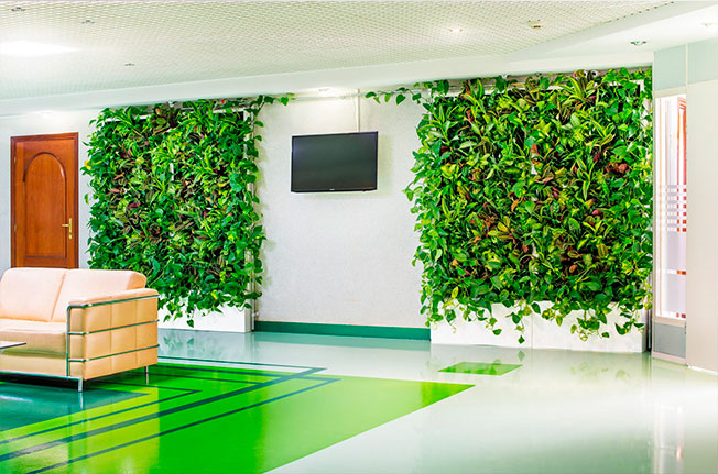 Подбираем цветы для офиса