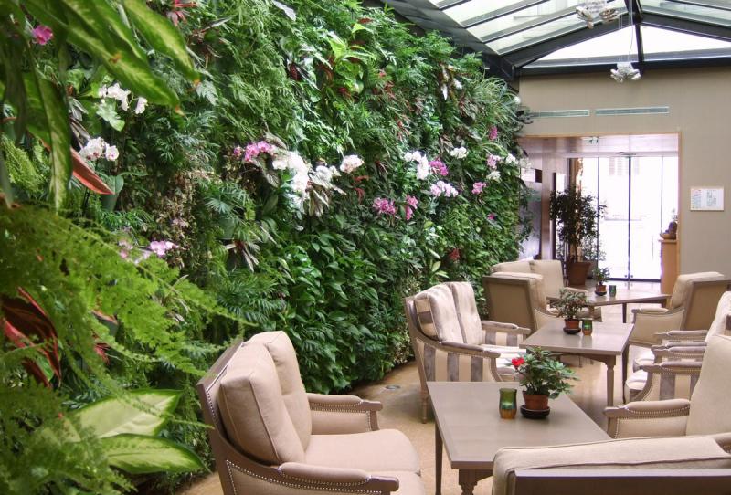 Вертикальное озеленение офисов и домов