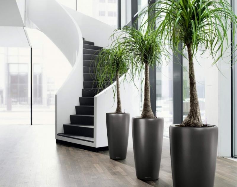 Готовим «жильё» для растений