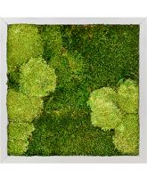 Картина из мха квадратная 30/70 (сталь)