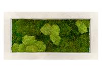 Картина из мха прямоугольная 30/70 (полистоун)