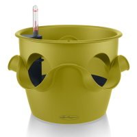 CASCADINO Color / КАСКАДИНО Колор