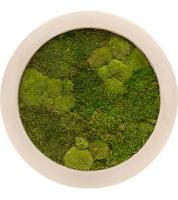 Картина из мха круглая 30/70 (полистоун)