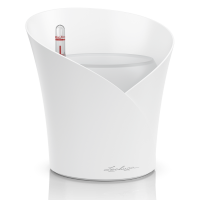 ORCHIDEA (Шир.18, Глуб.18, Выс.20)