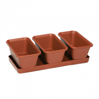МИНИ-САД  горшки+поддон