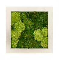 Картина из мха квадратная 30/70 (полистоун)