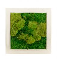 Картина из мха квадратная 50/50 (полистоун)