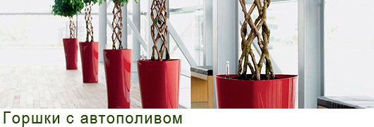 Горшки с автополивои