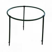 Кустодержатель