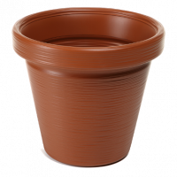 Кашпо Agawa dluto / Агава джуто