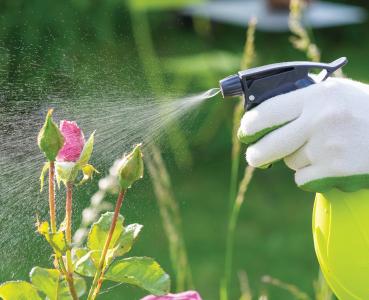 Уход и лечение