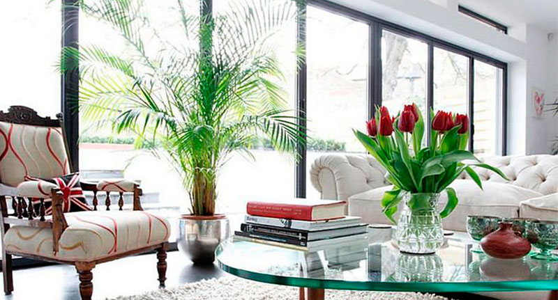 Какой цветок можно подарить мужчине?