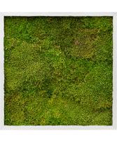 Картина из плоского мха квадратная (сталь)