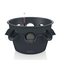 CASCADA Color / КАСКАДА Колор