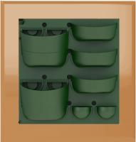 Фитопанно с рамой