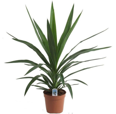 Юкка Копстек