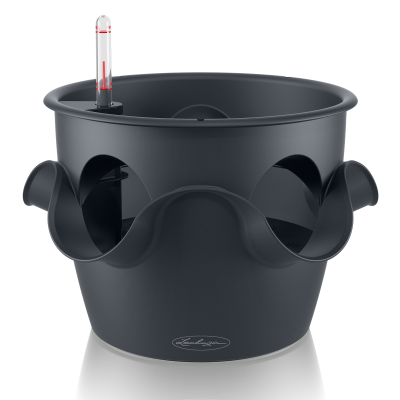 CASCADINO Color / КАСКАДИНО Колор