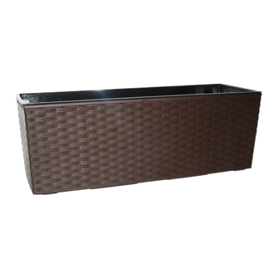 Цветник BEGONIA rattan / БЕГОНИЯ ротанг