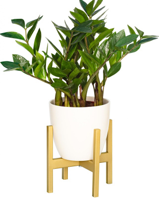 Подставка для комнатных растений Oxalis / Оксалис