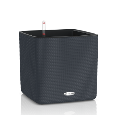 CUBE LS Color / КЬЮБ ЛС Колор