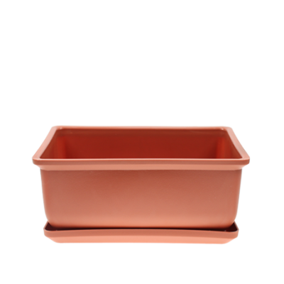 Кашпо Бонсайница с поддоном