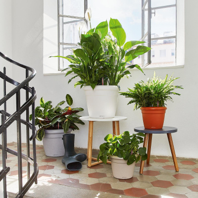 RUSTICO Color / РУСТИКО Колор