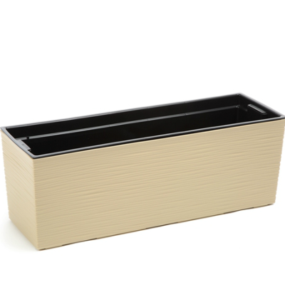 Цветник BEGONIA dluto / БЕГОНИЯ джуто