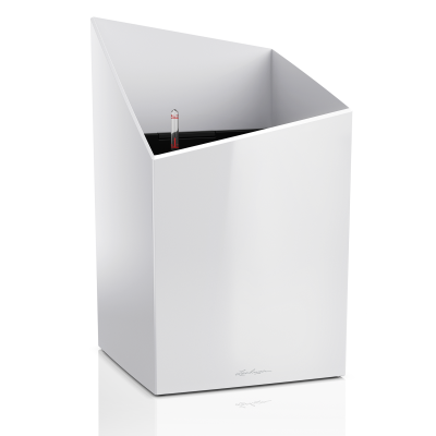 CURSIVO / КУРСИВО