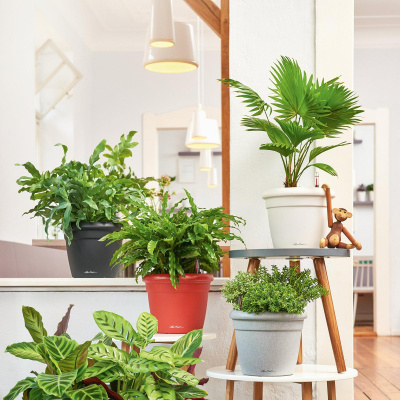 RUSTICO Color / РУСТИКО Колор